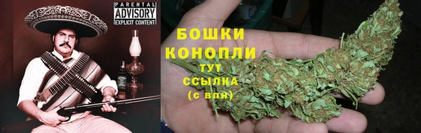 PSILOCYBIN Нягань