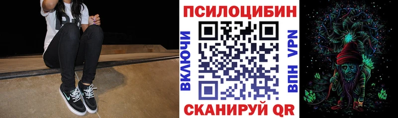 где найти наркотики  Заволжье  Псилоцибиновые грибы Cubensis 